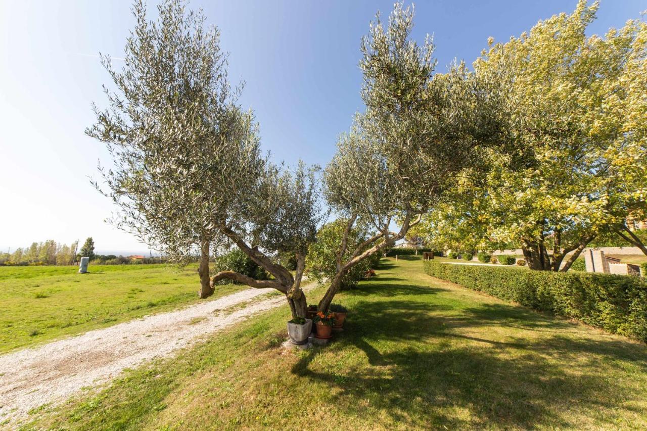 Agriturismo Bella Cima Montefiascone Eksteriør bilde