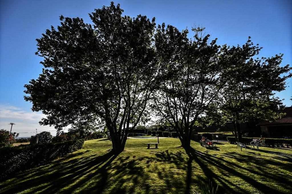 Agriturismo Bella Cima Montefiascone Eksteriør bilde